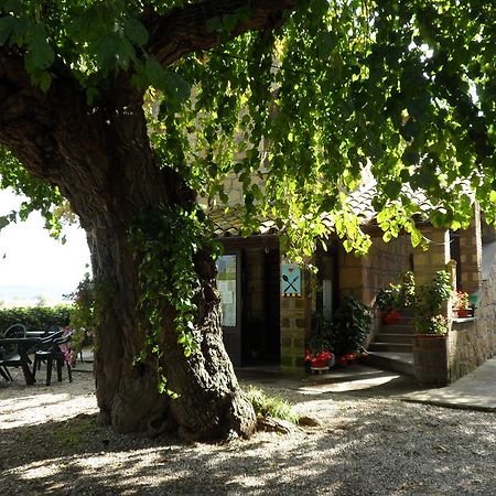 Mola Solis Hotel Civitella dʼAgliano Zewnętrze zdjęcie