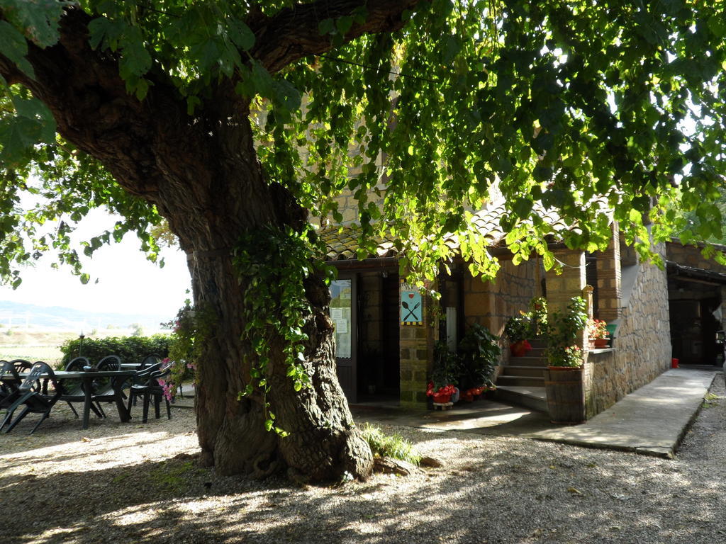 Mola Solis Hotel Civitella dʼAgliano Zewnętrze zdjęcie