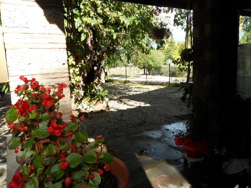 Mola Solis Hotel Civitella dʼAgliano Zewnętrze zdjęcie