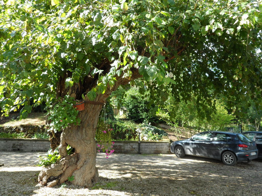 Mola Solis Hotel Civitella dʼAgliano Zewnętrze zdjęcie