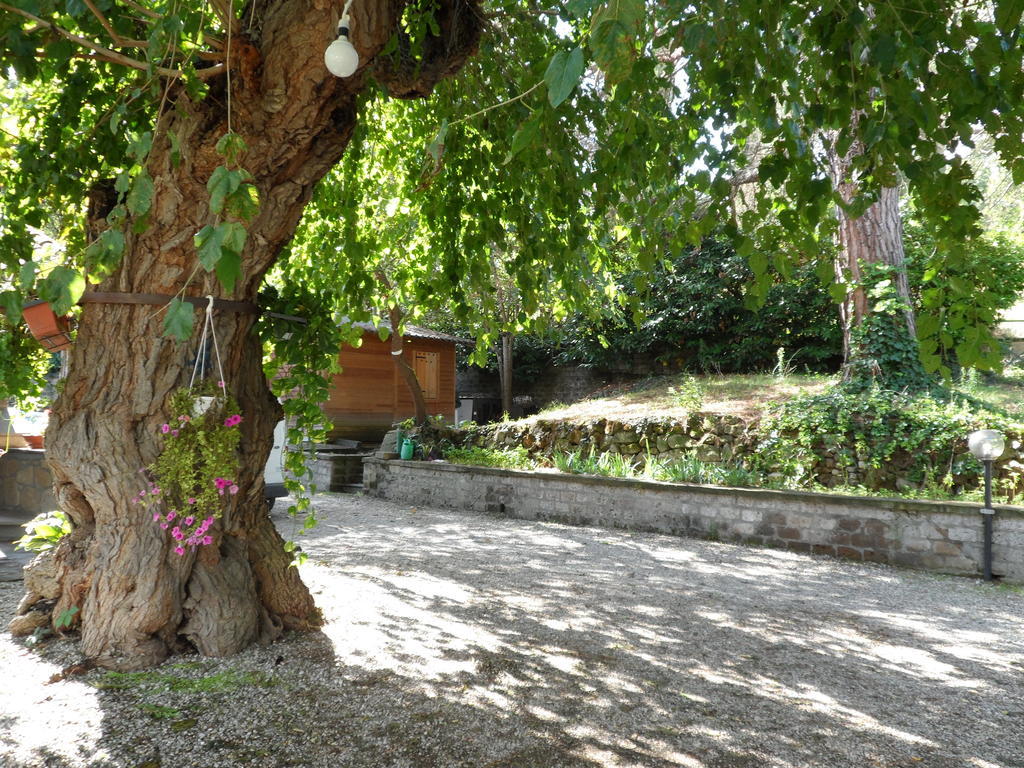 Mola Solis Hotel Civitella dʼAgliano Zewnętrze zdjęcie